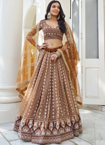 Mesmerizing Light Brown net Lehenga with embroidered blouse for all events